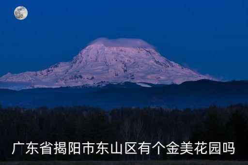 廣東省揭陽市東山區有個金美花園嗎