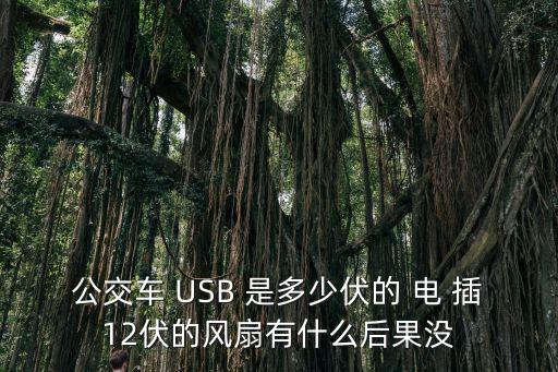 公交車上插入，坐公交車插位能罰款嗎
