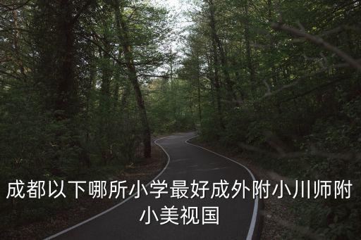 成都以下哪所小學最好成外附小川師附小美視國