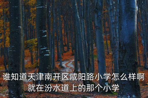 誰知道天津南開區咸陽路小學怎么樣啊就在汾水道上的那個小學