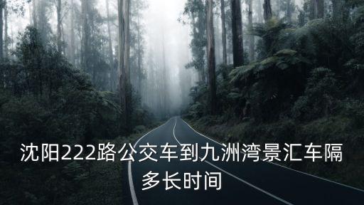 九洲灣景匯，沈陽(yáng)222路復(fù)線 從大北門出發(fā)到九洲灣景匯 都幾點(diǎn)有車主要是下