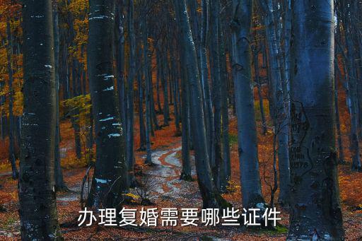 辦理復(fù)婚需要哪些證件