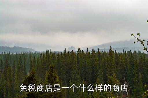免稅商場，深圳海關(guān)免稅商場在那里