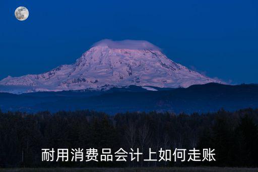 耐用消費品，耐用消費品會計上如何走賬