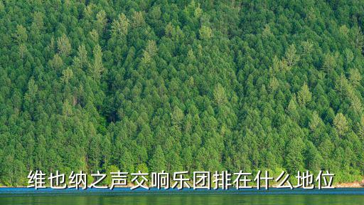 維也納之聲交響樂團排在什么地位