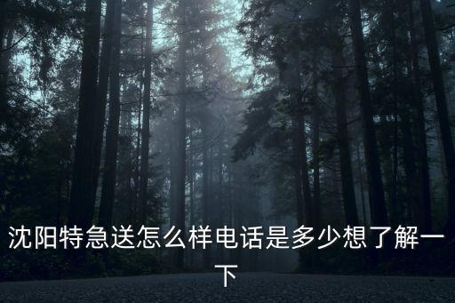 沈陽特急送怎么樣電話是多少想了解一下