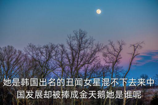 她是韓國出名的丑聞女星混不下去來中國發(fā)展卻被捧成金天鵝她是誰呢