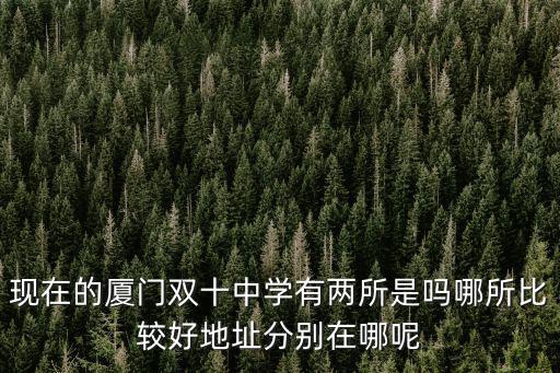 現在的廈門雙十中學有兩所是嗎哪所比較好地址分別在哪呢
