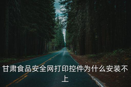 甘肅安全食品網，甘肅食品安全網打印控件為什么安裝不上