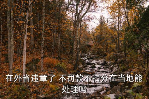 在外省違章了 不罰款不扣分在當地能處理嗎
