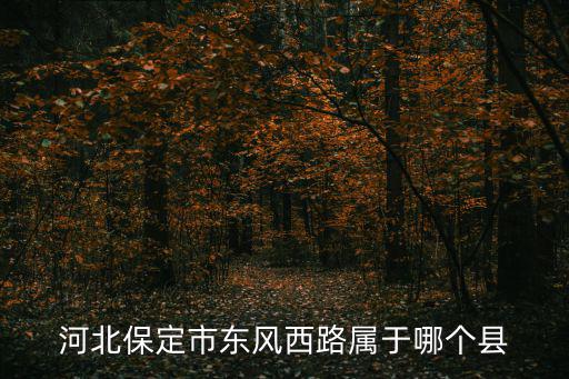 河北保定市東風西路屬于哪個縣