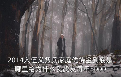 家庭優(yōu)待金，臨沂市義務兵家庭優(yōu)待金