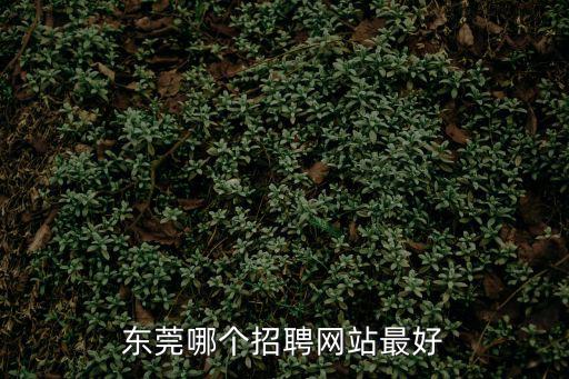 東莞哪個招聘網站最好