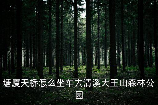 塘廈天橋怎么坐車去清溪大王山森林公園