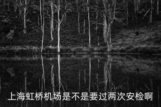 二次安檢，上海虹橋機(jī)場是不是要過兩次安檢啊