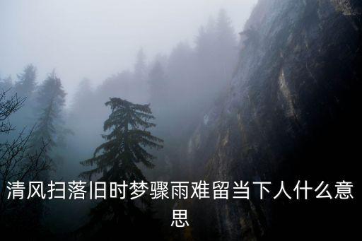 清風(fēng)掃落舊時(shí)夢驟雨難留當(dāng)下人什么意思
