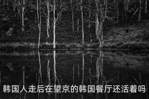 韓國(guó)餐廳，韓國(guó)是不是有一個(gè)餐廳叫嵐