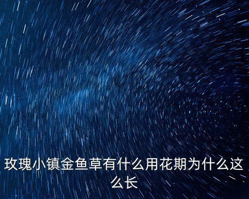 金魚草花期，金魚草開花嗎 金魚草什么時候開花