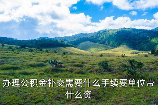 辦理公積金補交需要什么手續要單位帶什么資