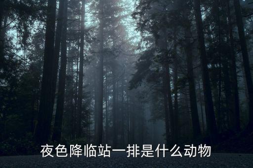 夜色降臨站一排是什么動(dòng)物