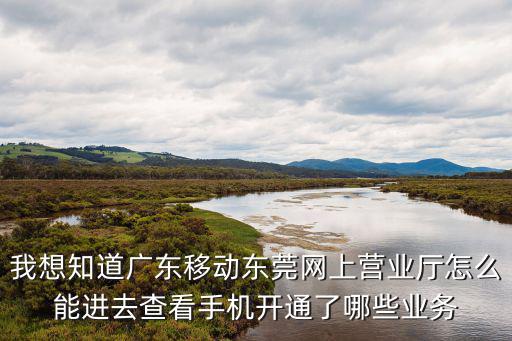 我想知道廣東移動?xùn)|莞網(wǎng)上營業(yè)廳怎么能進(jìn)去查看手機開通了哪些業(yè)務(wù)