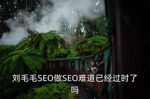 劉毛毛，劉毛毛SEO做SEO難道已經(jīng)過(guò)時(shí)了嗎