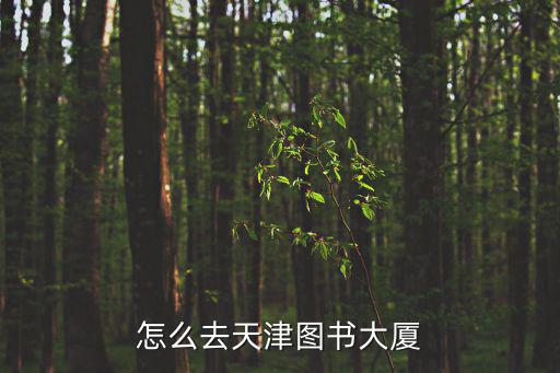 怎么去天津圖書(shū)大廈