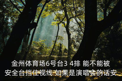 金州體育場6號臺3 4排 能不能被安全臺擋住視線 如果是演唱會的話安