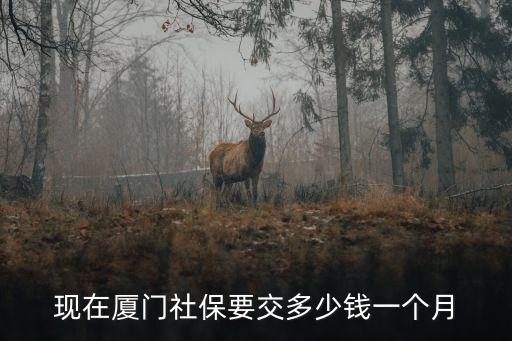 廈門社保繳費基數，現在廈門社保要交多少錢一個月