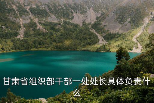 甘肅省組工，甘肅省組織部干部一處處長具體負責什么