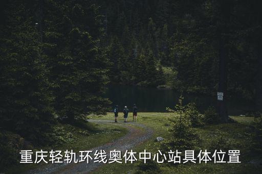 奧體中心站，奧體中心的具體位置