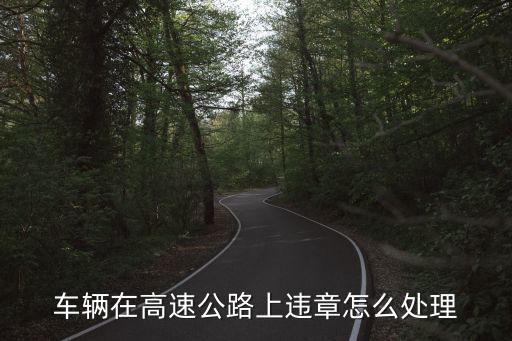 高速違章，高速違章怎么處理