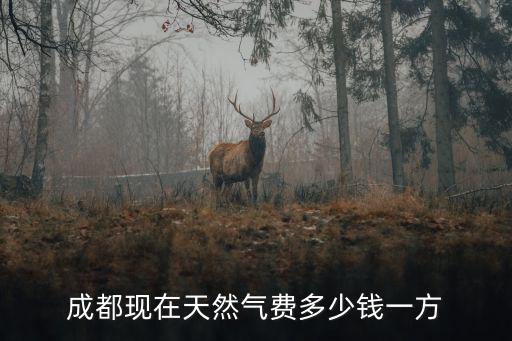 天然氣一方多少錢，1平方米燃?xì)赓M(fèi)是16元1立方米多少元