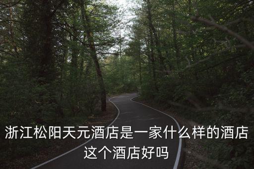 浙江松陽天元酒店是一家什么樣的酒店這個酒店好嗎