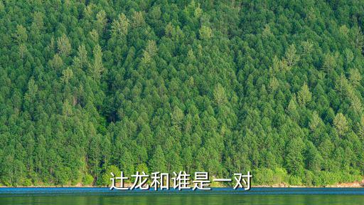 和光里，有光和無光是否對鼠婦的分布有影響該實(shí)驗(yàn)體現(xiàn)了 什么的原則