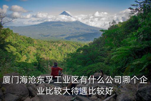 廈門海滄東孚工業區有什么公司哪個企業比較大待遇比較好