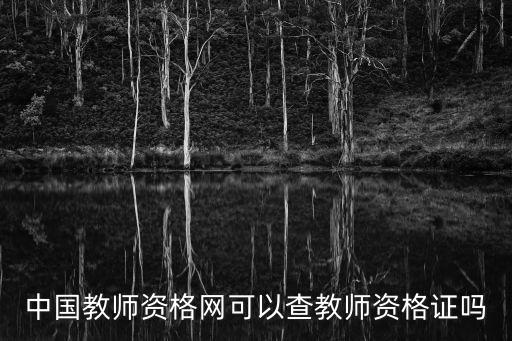 中國教師資格網可以查教師資格證嗎