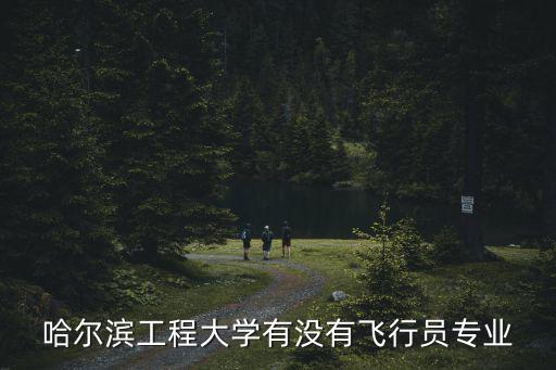 hrbeu，哈爾濱工程大學有沒有飛行員專業