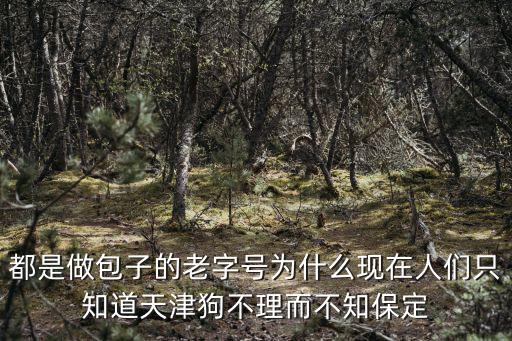都是做包子的老字號為什么現在人們只知道天津狗不理而不知保定