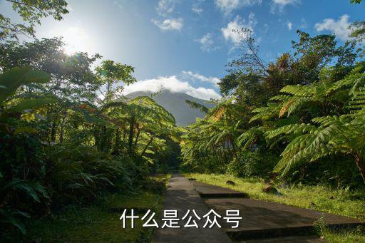 什么是公眾號(hào)