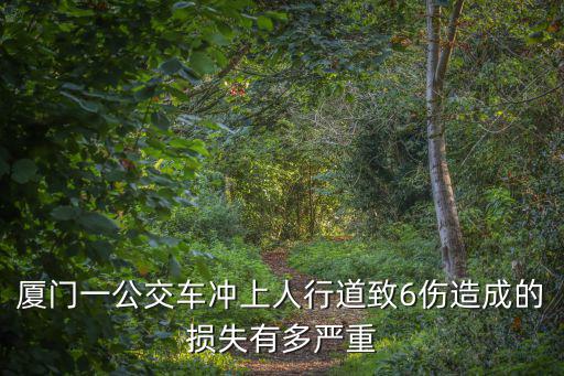 廈門交通事故，廈門交通事故賠償問題