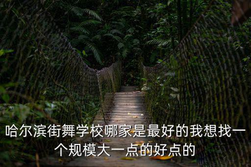 哈爾濱街舞學(xué)校哪家是最好的我想找一個規(guī)模大一點(diǎn)的好點(diǎn)的