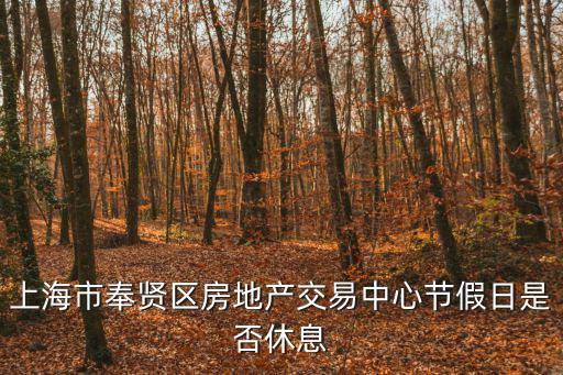 上海市奉賢區(qū)房地產交易中心節(jié)假日是否休息