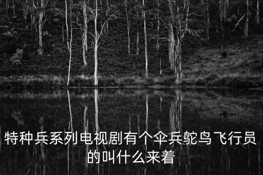 第一傘兵隊電視劇，特種兵系列電視劇有個傘兵鴕鳥飛行員的叫什么來著
