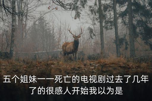 五個姐妹一一死亡的電視劇過去了幾年了的很感人開始我以為是