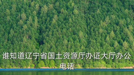 誰知道遼寧省國土資源廳辦證大廳辦公電話