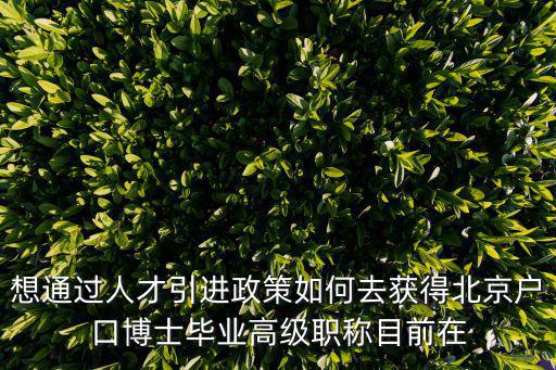 博士人才引進，上海市人才引進政策博士學位 工作穩定 從事行業和專業相符 若博