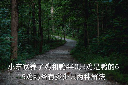 小東家養了雞和鴨440只雞是鴨的65雞鴨各有多少只兩種解法