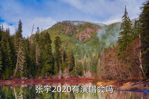 張宇演唱會，張宇的最新演唱會時間地點