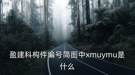 盈建科構(gòu)件編號簡圖中xmuymu是什么